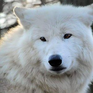 Meet your Posher, Wendy